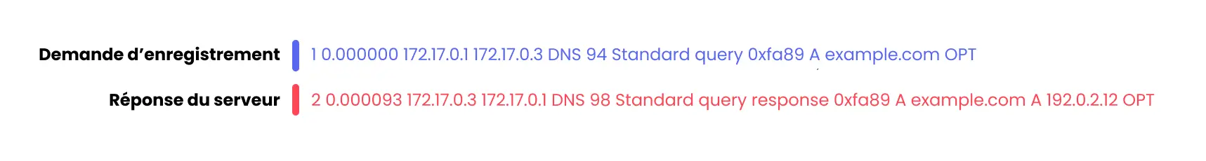 Capture d'une requête DNS