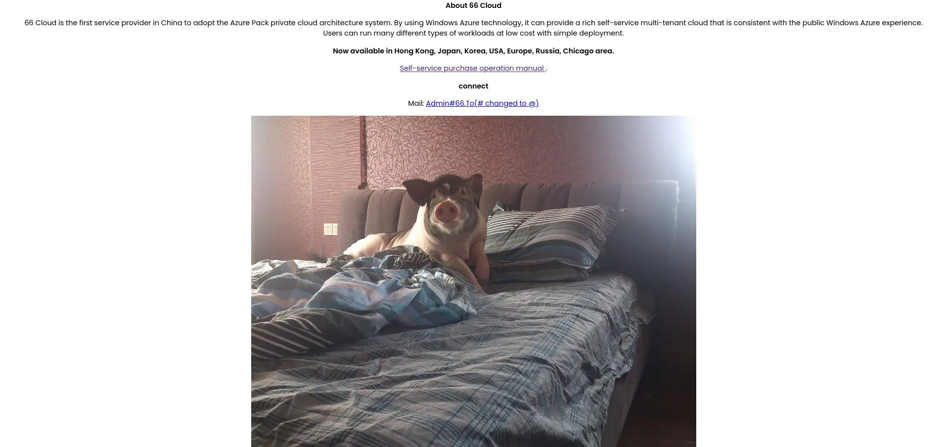 Une capture d'écran du site de 66.to, présentant un texte décrivant un site d'hébergement et une photo de cochons